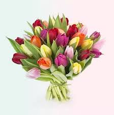 Envio y venta de flores ,rosas, plantas,arreglos florales ,regalos y desayunos a domicilio con delivery gratis en la Ciudad Autonoma de Buenos Aires y con costo de envo en localidades del Gran Buenos Aires asi como delivery de flores y plantas a travs de florerias asociadas en todas las provincias de la Argentina, Buenos Aires, la Pampa, Tucuman, La Rioja, Ro Negro, Entre Rios, Corrientes, Misiones, Neuquen, Chubut, Tierra del Fuego, Santa Cruz, San Luis, Mendoza, Cordoba, Jujuy, Formosa, Santiago del Estero, Salta, Chaco, Catamarca ,San Juan, y ademas realizamos el delivery de flores ,coronas,palmas , plantas y regalos a todas las ciudades de Argentina, Mar del Plata, Crdoba, Buenos Aires, con cargo en Santa Rosa, La Plata, Bella Vista, Neuquen, Pilar, Paran, Posadas, Resistencia, Cipolleti y mas de 300 ciudades y localidades en todo el territorio de nuestro pas, asi como tambien tenemos la posibilidad de enviar flores a casi todo el mundo en cuestion de horas